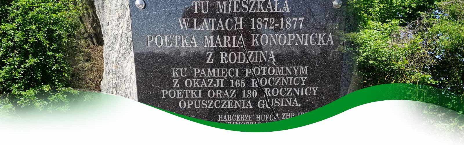 baner główny ilustracyjny dla strony