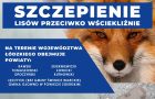 plakat mówiący o jesiennej akcji szczepienia lisów, zdjęcie lisa
