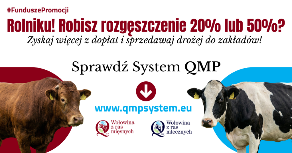 plakat informacyjny z tekstem i grafiką krów