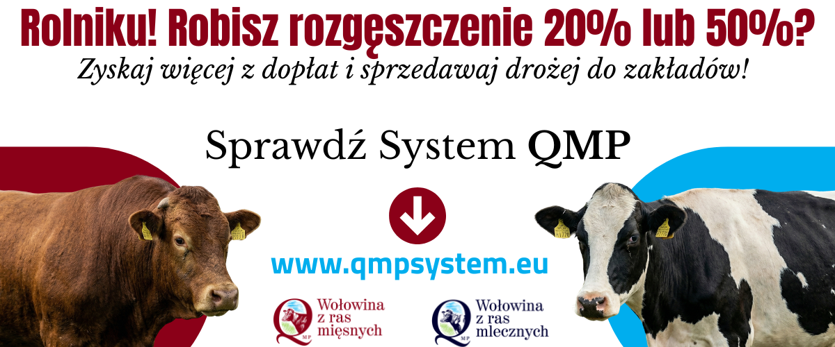 plakat informacyjny z tekstem i grafiką krów