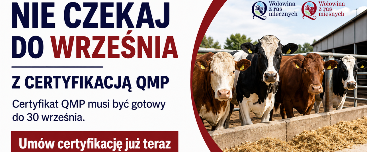 baner z grafiką bydła