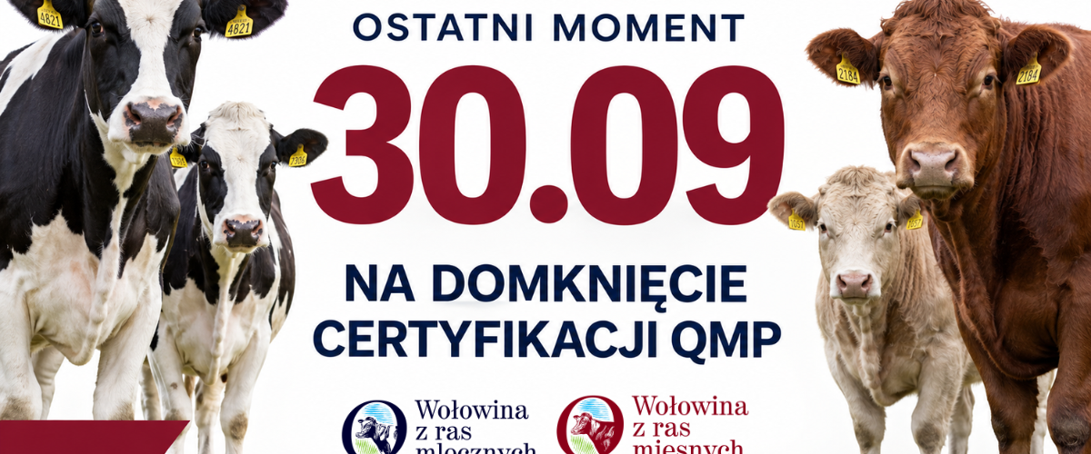 plakat informacyjny, na grafice zdjęcie bydła
