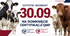 plakat informacyjny, na grafice zdjęcie bydła